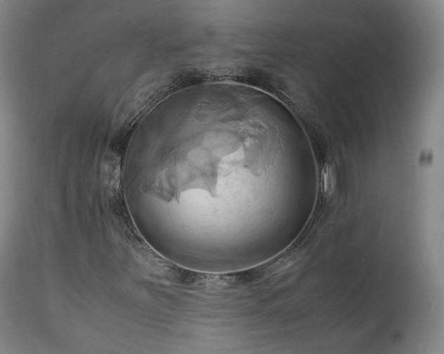 X0000110971251200906191327