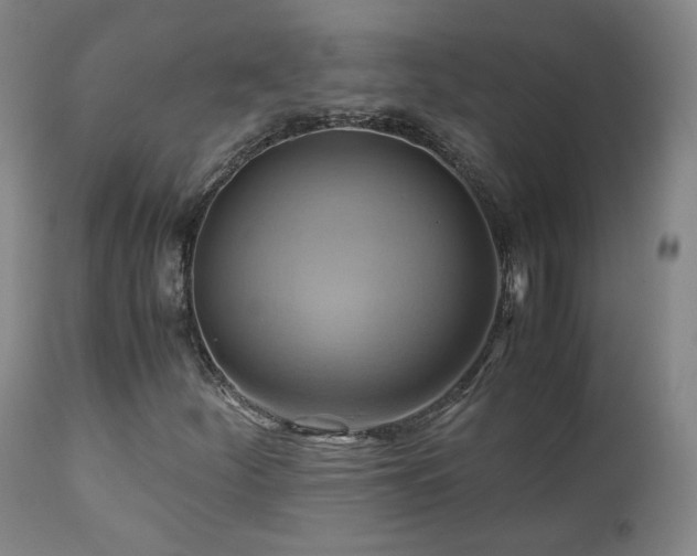 X0000110971252200906191327