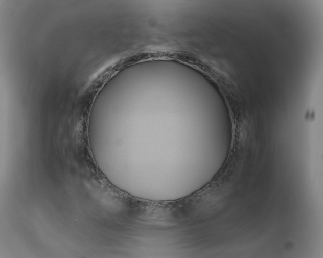 X0000110971254200906191327