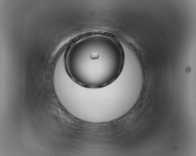 X0000110971256200906191327