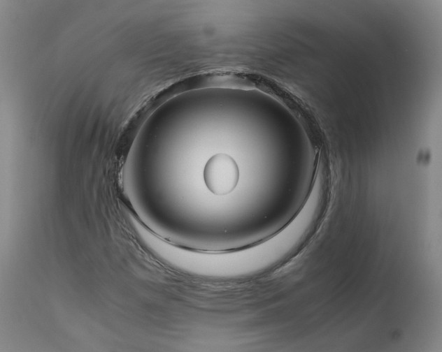 X0000110971257200906191327