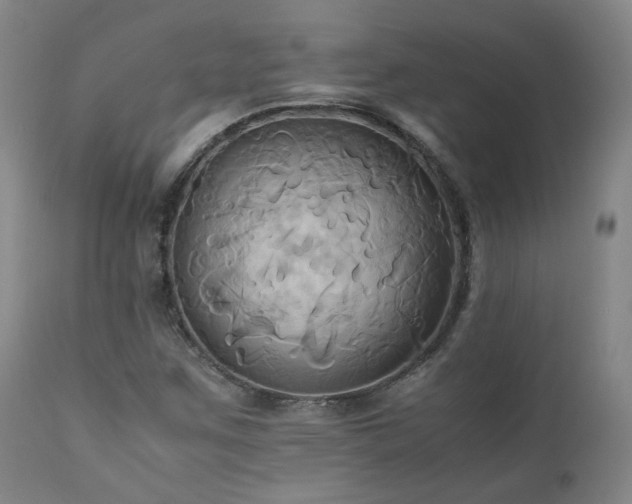 X0000110971259200906191327