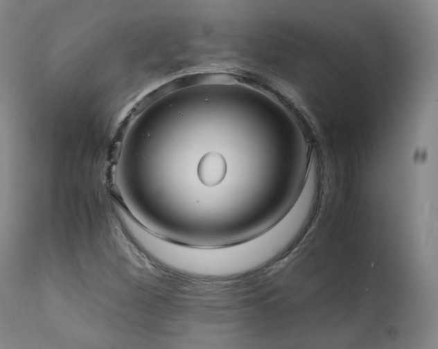 X0000110971260200906191327