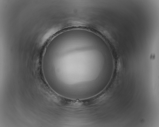 X0000110971261200906191327