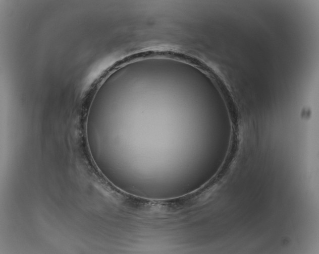 X0000110971263200906191327