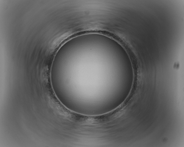 X0000110971265200906191327