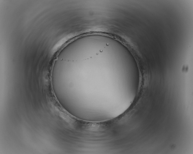 X0000110971266200906191327