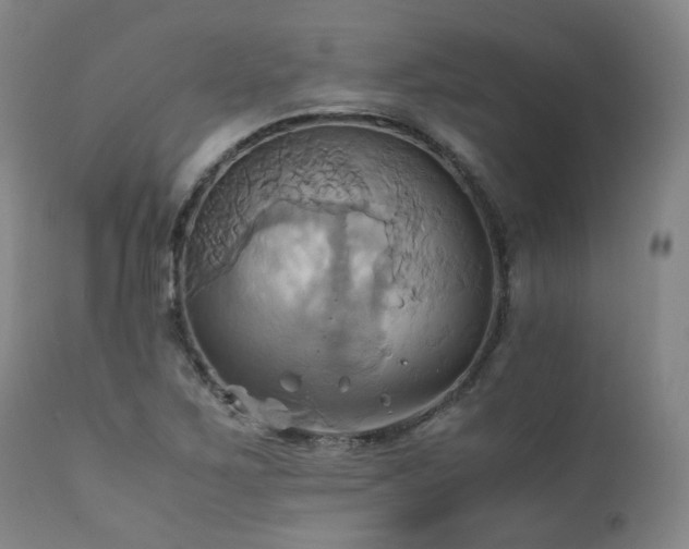 X0000110971267200906191327