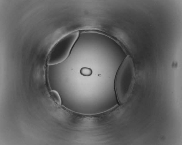 X0000110971268200906191327