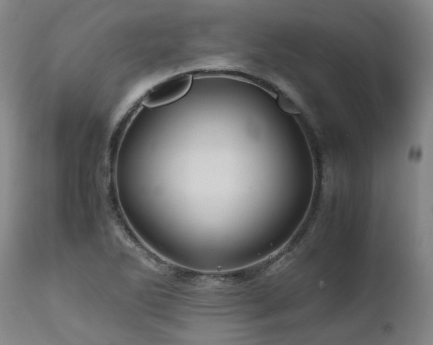 X0000110971270200906191327