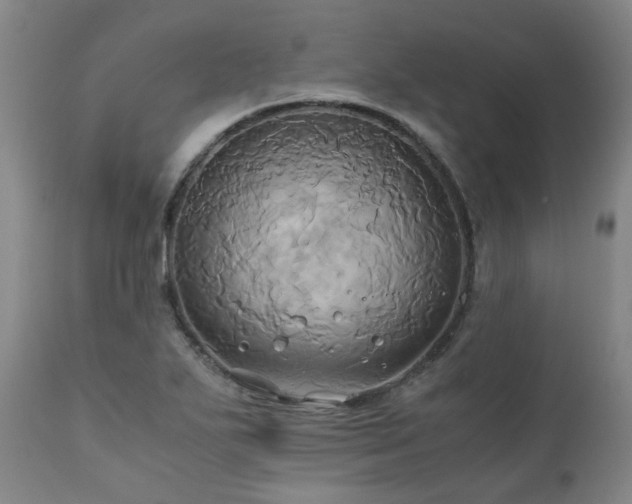 X0000110971271200906191327