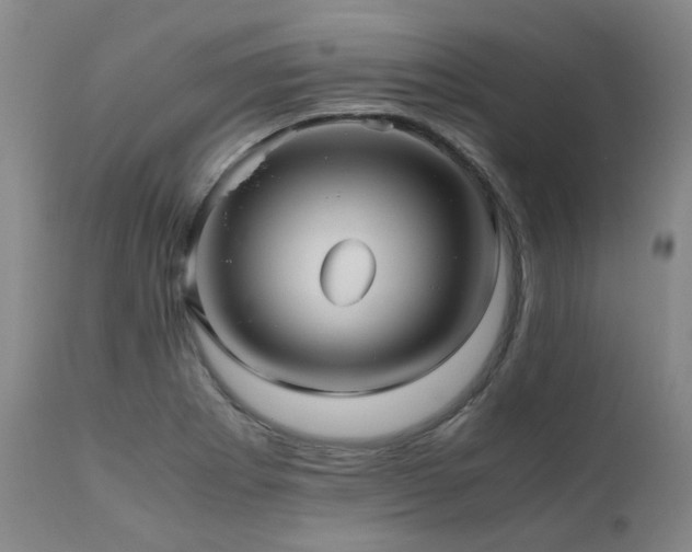 X0000110971273200906191327