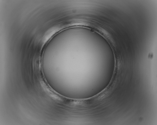 X0000110971274200906191327