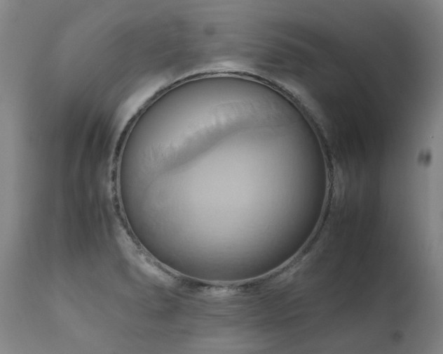 X0000110971278200906191327