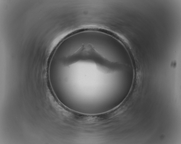 X0000110971279200906191327