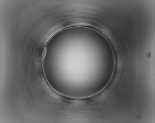 X0000110971281200906191327