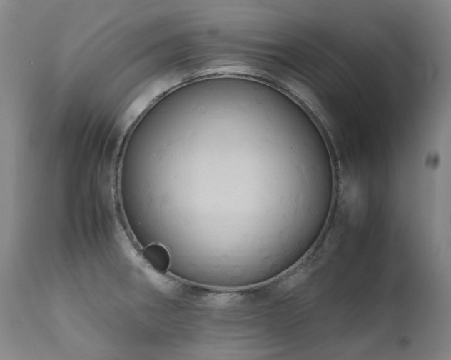 X0000110971282200906191327