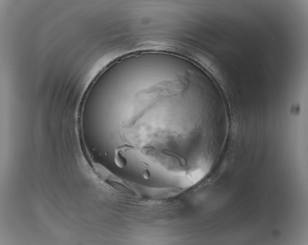 X0000110971283200906191327