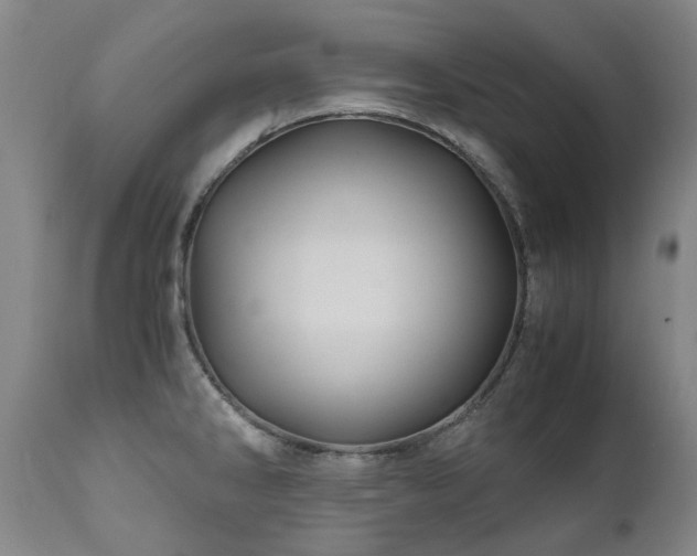 X0000110971286200906191327