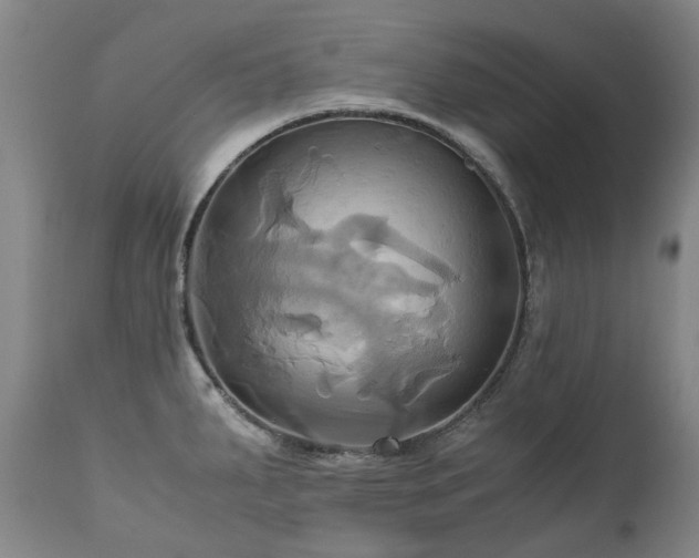 X0000110971287200906191327