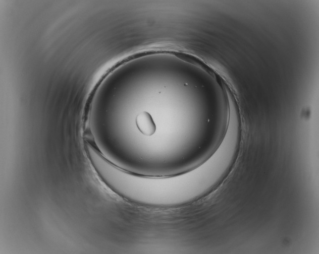 X0000110971288200906191327