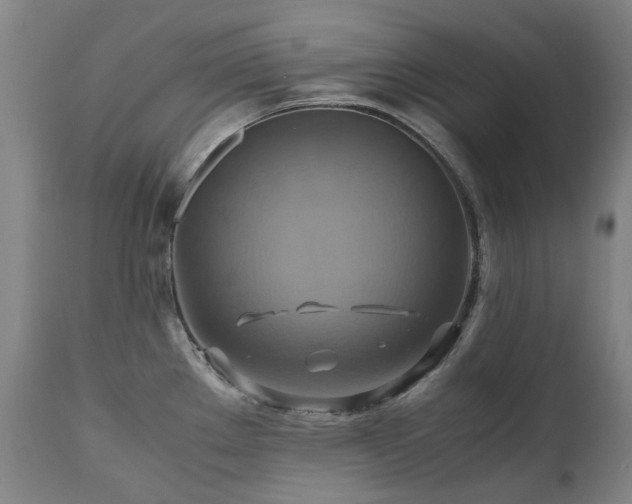 X0000110971289200906191327