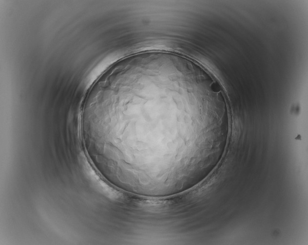 X0000110971290200906191327