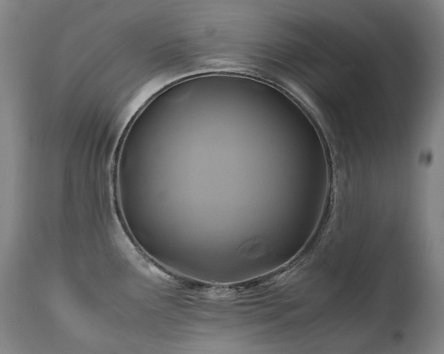 X0000110971291200906191327