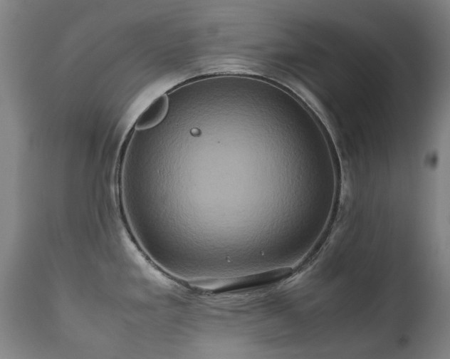 X0000110971293200906191327