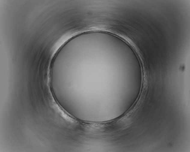 X0000110971294200906191327