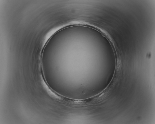 X0000110971295200906191327