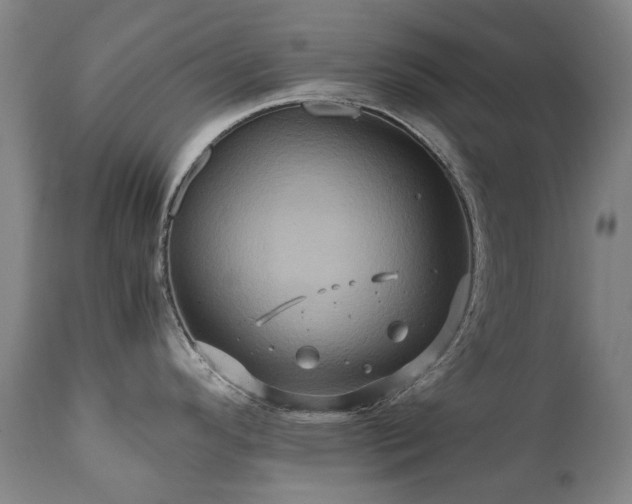 X0000110971296200906191327