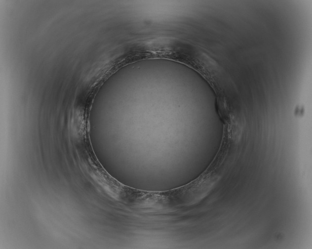 X0000110971298200906191326