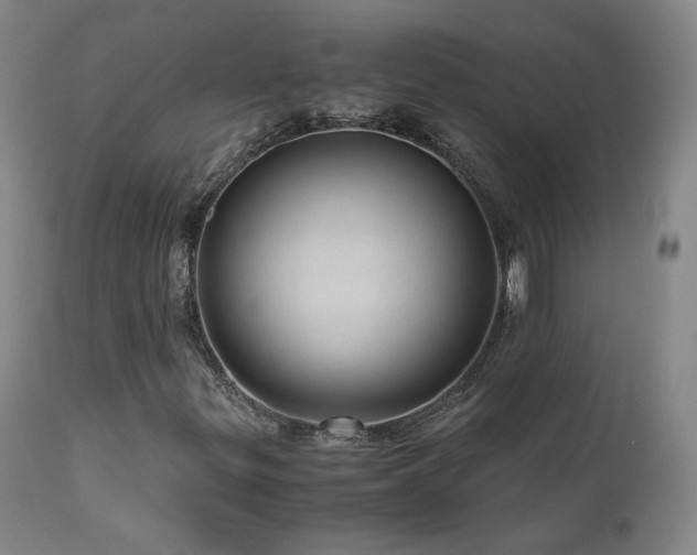 X0000110971299200906191326