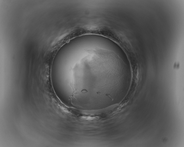 X0000110971301200906191326