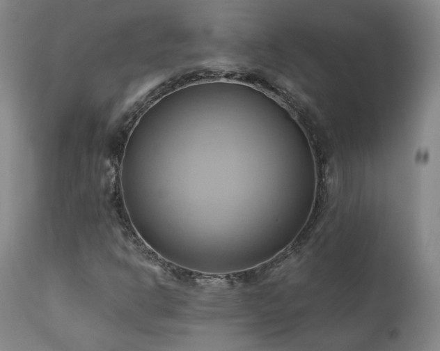 X0000110971302200906191326