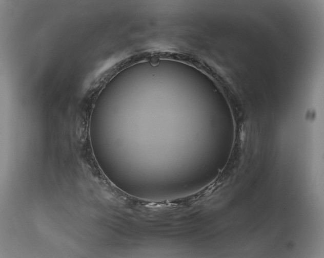 X0000110971303200906191326