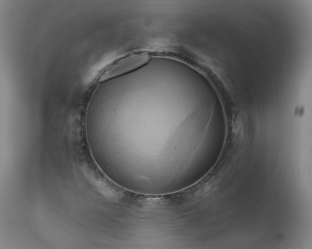 X0000110971304200906191326