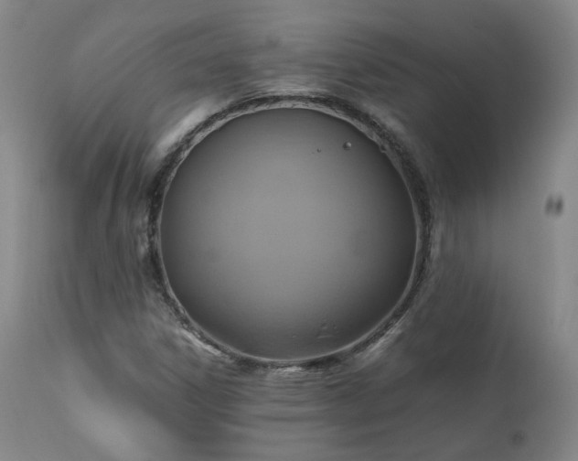 X0000110971306200906191326