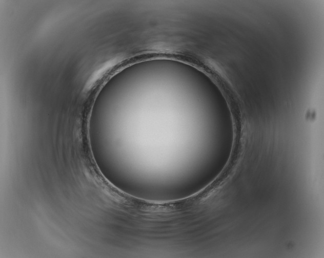 X0000110971307200906191326