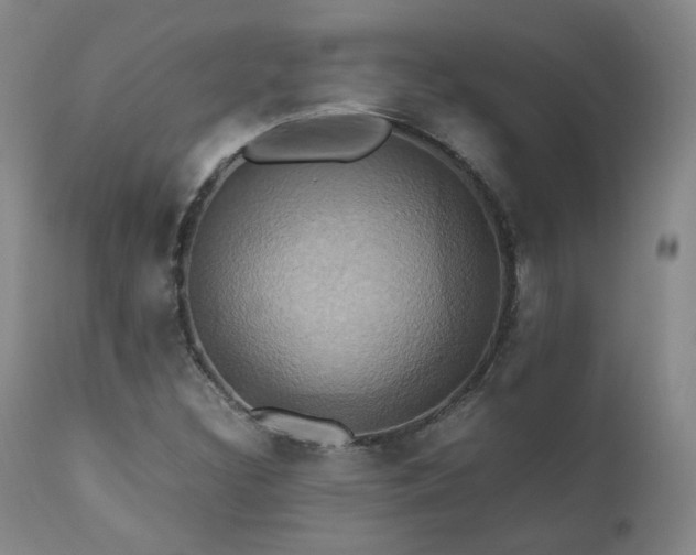 X0000110971308200906191326