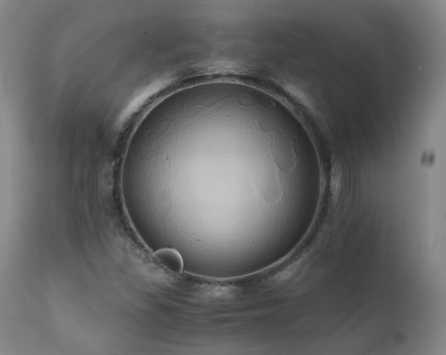 X0000110971309200906191326