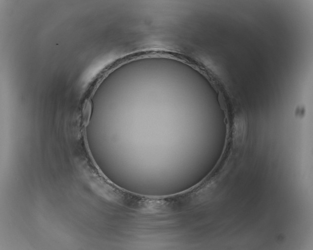 X0000110971310200906191326