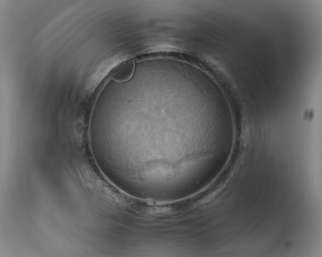 X0000110971313200906191326