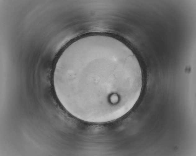 X0000110971314200906191326