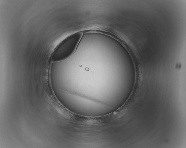 X0000110971316200906191326