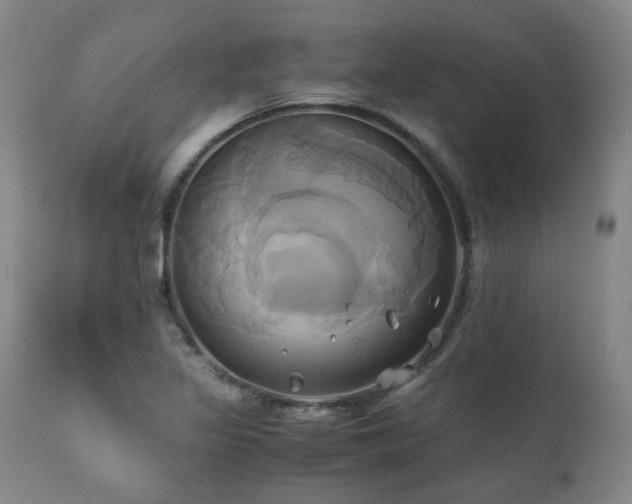 X0000110971317200906191326