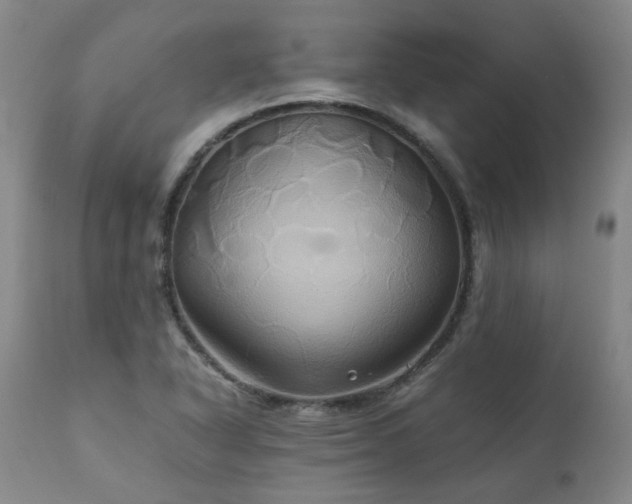 X0000110971318200906191326