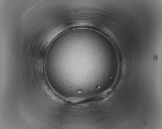 X0000110971321200906191326