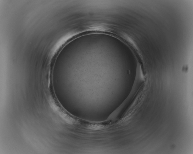 X0000110971323200906191326